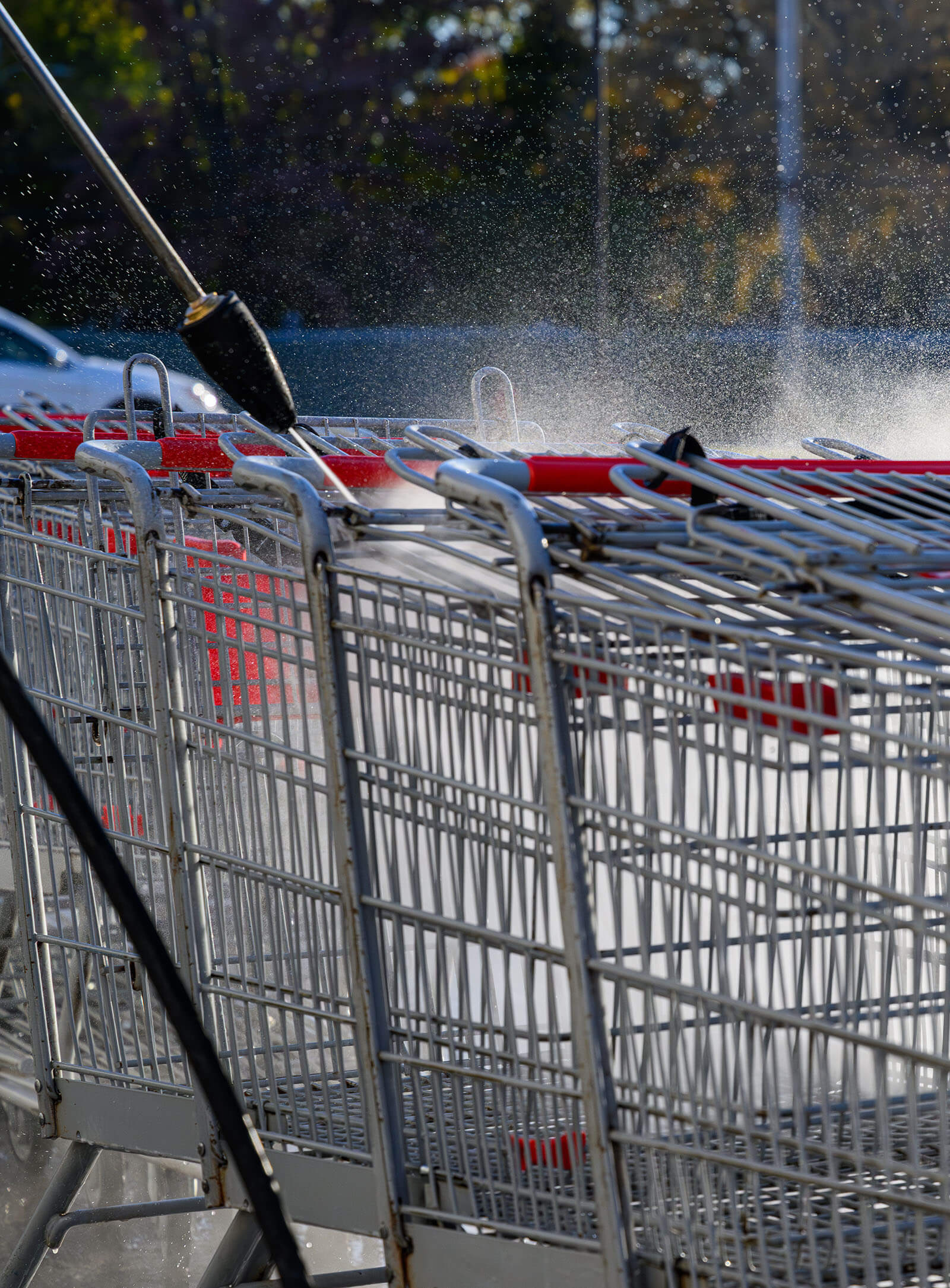 Lavage Dominic Scott