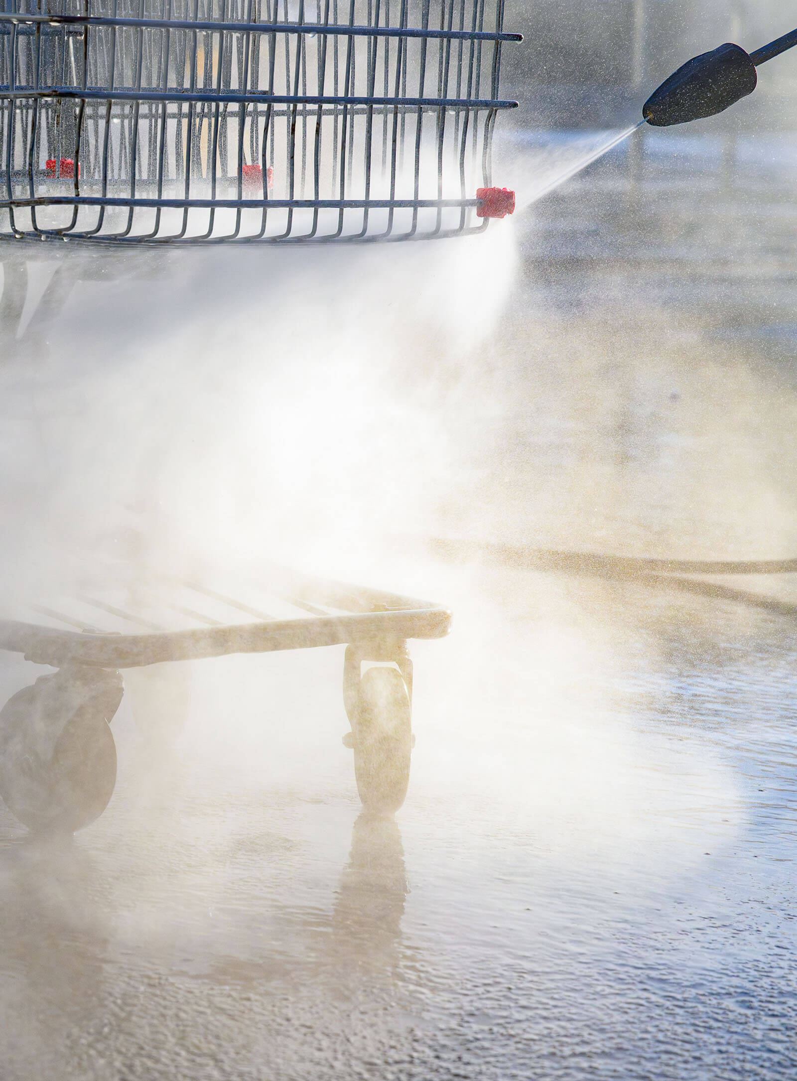 Lavage Dominic Scott