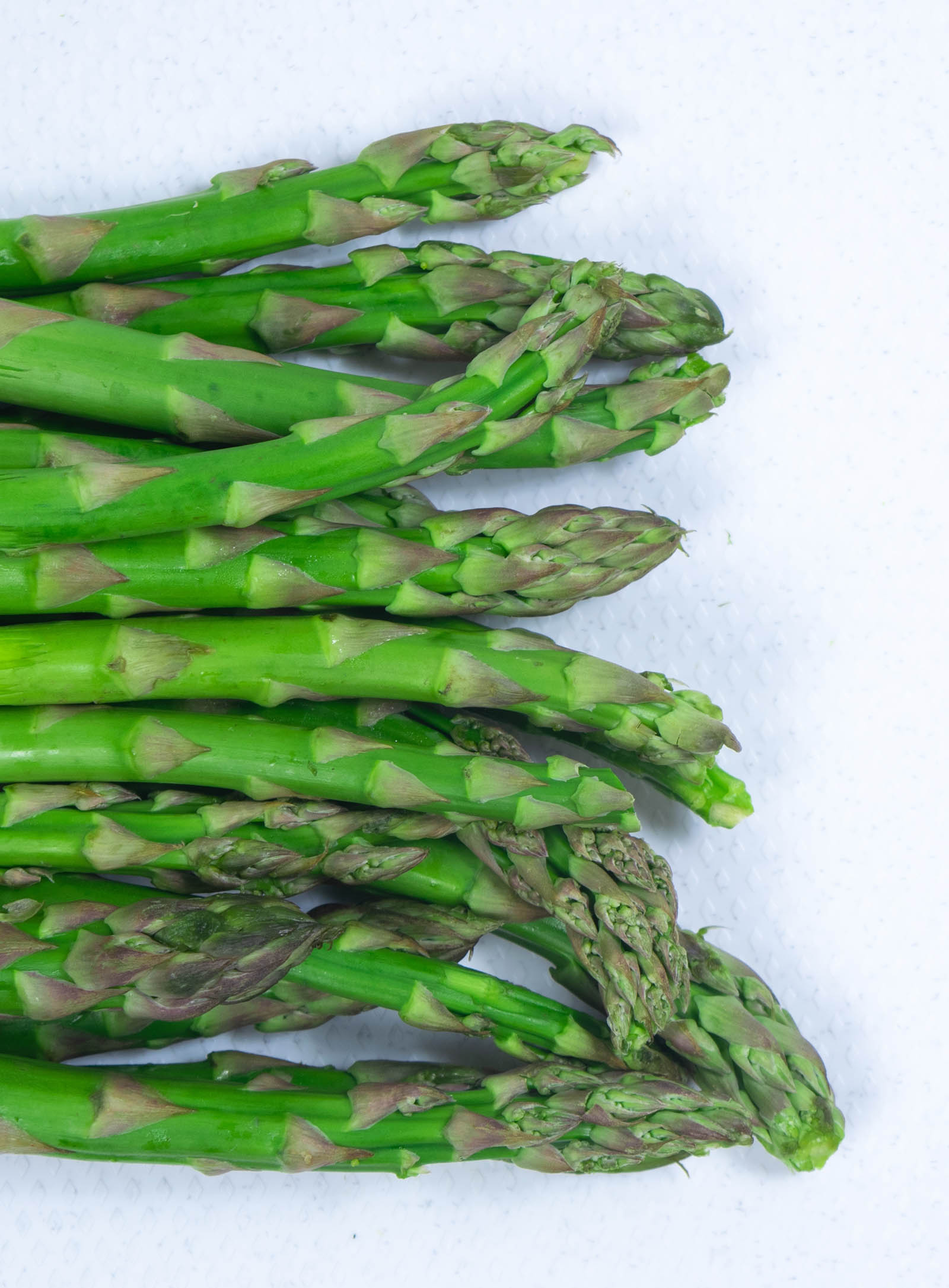 Surface de coupe Dominic Scott