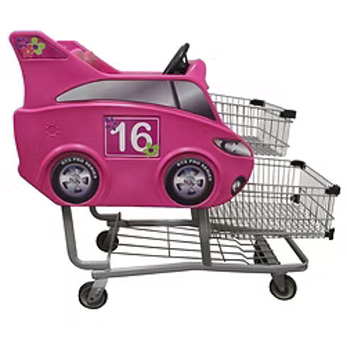 princesse-IMG-2025 Vente équipement roulant au Québec